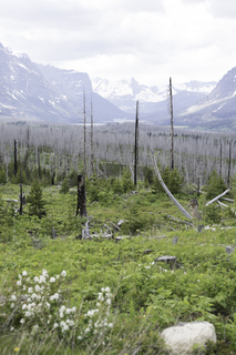 Filename=DSC_9289.jpg
Filesize=18274KiB
Dimensions=4912x7360
Date added=Sep 21, 2019 DSC_9289.jpg