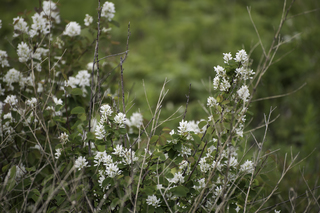 Filename=DSC_9290.jpg
Filesize=18452KiB
Dimensions=7360x4912
Date added=Sep 21, 2019 DSC_9290.jpg