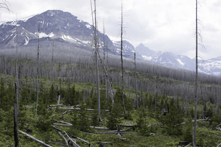 Filename=DSC_9291.jpg
Filesize=18944KiB
Dimensions=7360x4912
Date added=Sep 21, 2019 DSC_9291.jpg