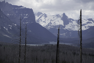 Filename=DSC_9292.jpg
Filesize=15919KiB
Dimensions=7360x4912
Date added=Sep 21, 2019 DSC_9292.jpg