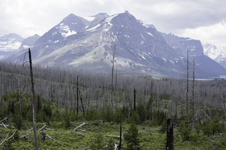 Filename=DSC_9293.jpg
Filesize=20226KiB
Dimensions=7360x4912
Date added=Sep 21, 2019 DSC_9293.jpg