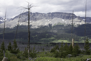 Filename=DSC_9294.jpg
Filesize=18378KiB
Dimensions=7360x4912
Date added=Sep 21, 2019 DSC_9294.jpg