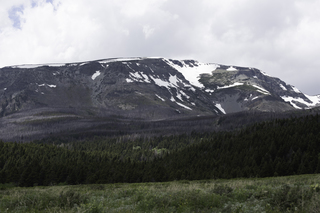 Filename=DSC_9310.jpg
Filesize=15426KiB
Dimensions=7360x4912
Date added=Sep 21, 2019 DSC_9310.jpg