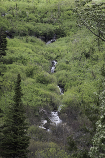 Filename=DSC_9316.jpg
Filesize=28003KiB
Dimensions=4912x7360
Date added=Sep 21, 2019 DSC_9316.jpg