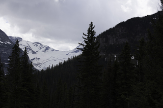 Filename=DSC_9323.jpg
Filesize=11432KiB
Dimensions=7360x4912
Date added=Sep 21, 2019 DSC_9323.jpg