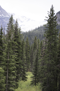 Filename=DSC_9329.jpg
Filesize=17371KiB
Dimensions=4912x7360
Date added=Sep 21, 2019 DSC_9329.jpg