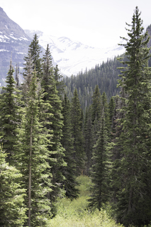 Filename=DSC_9330.jpg
Filesize=20211KiB
Dimensions=4912x7360
Date added=Sep 21, 2019 DSC_9330.jpg