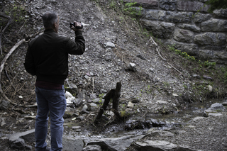 Filename=DSC_9334.jpg
Filesize=19886KiB
Dimensions=7360x4912
Date added=Sep 21, 2019 DSC_9334.jpg