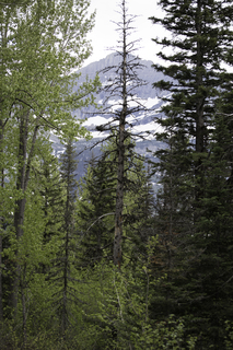 Filename=DSC_9335.jpg
Filesize=23551KiB
Dimensions=4912x7360
Date added=Sep 21, 2019 DSC_9335.jpg