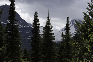 Filename=DSC_9336.jpg
Filesize=15893KiB
Dimensions=7360x4912
Date added=Sep 21, 2019 DSC_9336.jpg