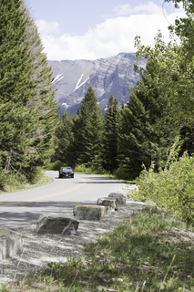 Filename=DSC_9338.jpg
Filesize=20658KiB
Dimensions=4912x7360
Date added=Sep 21, 2019 DSC_9338.jpg