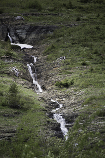 Filename=DSC_9342.jpg
Filesize=24169KiB
Dimensions=4912x7360
Date added=Sep 21, 2019 DSC_9342.jpg