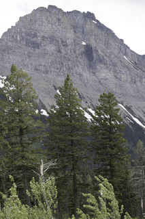 Filename=DSC_9355.jpg
Filesize=21135KiB
Dimensions=4912x7360
Date added=Sep 21, 2019 DSC_9355.jpg