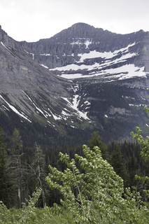 Filename=DSC_9356.jpg
Filesize=19962KiB
Dimensions=4912x7360
Date added=Sep 21, 2019 DSC_9356.jpg