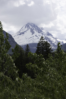 Filename=DSC_9357.jpg
Filesize=13367KiB
Dimensions=4912x7360
Date added=Sep 21, 2019 DSC_9357.jpg