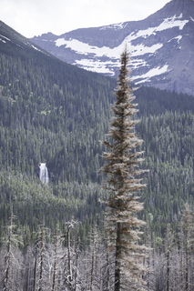 Filename=DSC_9380.jpg
Filesize=22995KiB
Dimensions=4912x7360
Date added=Sep 21, 2019 DSC_9380.jpg