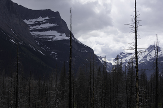 Filename=DSC_9381.jpg
Filesize=14243KiB
Dimensions=7360x4912
Date added=Sep 21, 2019 DSC_9381.jpg