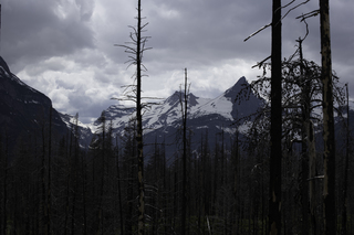 Filename=DSC_9382.jpg
Filesize=14631KiB
Dimensions=7360x4912
Date added=Sep 21, 2019 DSC_9382.jpg