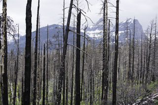 Filename=DSC_9383.jpg
Filesize=21813KiB
Dimensions=7360x4912
Date added=Sep 21, 2019 DSC_9383.jpg