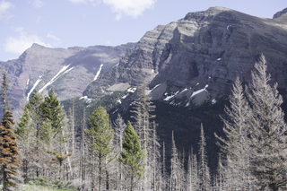 Filename=DSC_9386.jpg
Filesize=25472KiB
Dimensions=7360x4912
Date added=Sep 21, 2019 DSC_9386.jpg