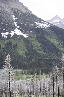 Filename=DSC_9388.jpg
Filesize=22621KiB
Dimensions=4912x7360
Date added=Sep 21, 2019 DSC_9388.jpg