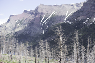 Filename=DSC_9389.jpg
Filesize=24860KiB
Dimensions=7360x4912
Date added=Sep 21, 2019 DSC_9389.jpg