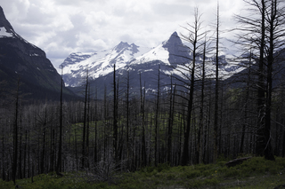 Filename=DSC_9390.jpg
Filesize=18752KiB
Dimensions=7360x4912
Date added=Sep 21, 2019 DSC_9390.jpg