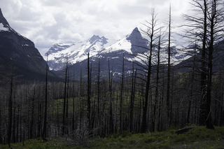 Filename=DSC_9391.jpg
Filesize=18922KiB
Dimensions=7360x4912
Date added=Sep 21, 2019 DSC_9391.jpg