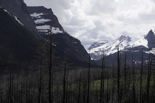 Filename=DSC_9393.jpg
Filesize=17791KiB
Dimensions=7360x4912
Date added=Sep 21, 2019 DSC_9393.jpg