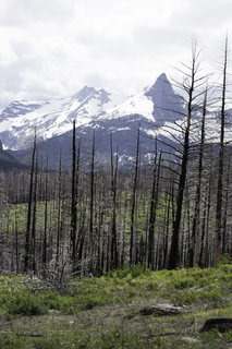 Filename=DSC_9395.jpg
Filesize=18750KiB
Dimensions=4912x7360
Date added=Sep 21, 2019 DSC_9395.jpg