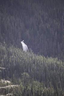 Filename=DSC_9399.jpg
Filesize=23024KiB
Dimensions=4912x7360
Date added=Sep 21, 2019 DSC_9399.jpg