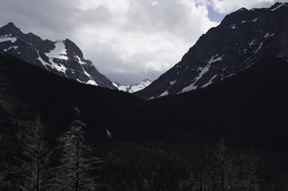 Filename=DSC_9401.jpg
Filesize=12909KiB
Dimensions=7360x4912
Date added=Sep 21, 2019 DSC_9401.jpg