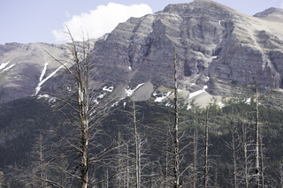 Filename=DSC_9403.jpg
Filesize=22890KiB
Dimensions=7360x4912
Date added=Sep 21, 2019 DSC_9403.jpg