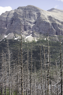 Filename=DSC_9404.jpg
Filesize=24112KiB
Dimensions=4912x7360
Date added=Sep 21, 2019 DSC_9404.jpg