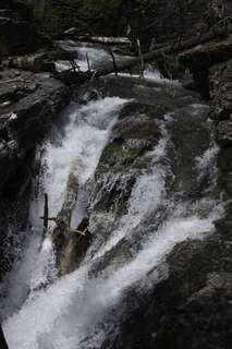 Filename=DSC_9405.jpg
Filesize=17706KiB
Dimensions=4912x7360
Date added=Sep 21, 2019 DSC_9405.jpg