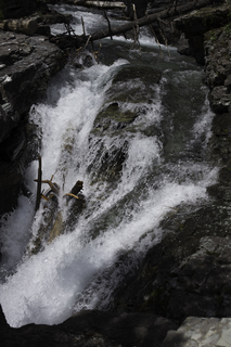 Filename=DSC_9406.jpg
Filesize=18405KiB
Dimensions=4912x7360
Date added=Sep 21, 2019 DSC_9406.jpg