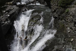 Filename=DSC_9408.jpg
Filesize=21377KiB
Dimensions=7360x4912
Date added=Sep 21, 2019 DSC_9408.jpg