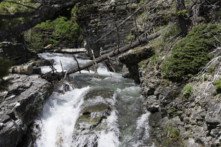 Filename=DSC_9409.jpg
Filesize=23723KiB
Dimensions=7360x4912
Date added=Sep 21, 2019 DSC_9409.jpg