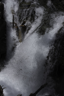 Filename=DSC_9411.jpg
Filesize=16610KiB
Dimensions=4912x7360
Date added=Sep 21, 2019 DSC_9411.jpg