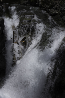 Filename=DSC_9412.jpg
Filesize=17972KiB
Dimensions=4912x7360
Date added=Sep 21, 2019 DSC_9412.jpg