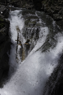 Filename=DSC_9413.jpg
Filesize=18340KiB
Dimensions=4912x7360
Date added=Sep 21, 2019 DSC_9413.jpg