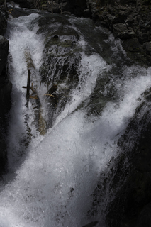 Filename=DSC_9414.jpg
Filesize=18049KiB
Dimensions=4912x7360
Date added=Sep 21, 2019 DSC_9414.jpg