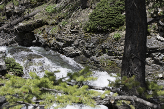 Filename=DSC_9415.jpg
Filesize=22665KiB
Dimensions=7360x4912
Date added=Sep 21, 2019 DSC_9415.jpg