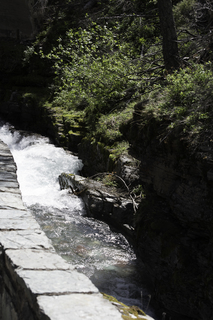 Filename=DSC_9421.jpg
Filesize=18380KiB
Dimensions=4912x7360
Date added=Sep 21, 2019 DSC_9421.jpg