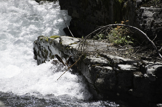 Filename=DSC_9425.jpg
Filesize=16032KiB
Dimensions=7360x4912
Date added=Sep 21, 2019 DSC_9425.jpg