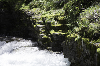 Filename=DSC_9426.jpg
Filesize=20480KiB
Dimensions=7360x4912
Date added=Sep 21, 2019 DSC_9426.jpg