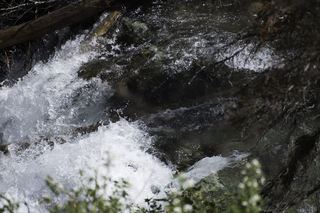 Filename=DSC_9429.jpg
Filesize=17972KiB
Dimensions=7360x4912
Date added=Sep 21, 2019 DSC_9429.jpg