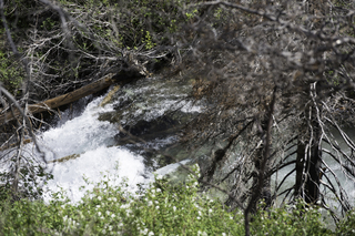 Filename=DSC_9430.jpg
Filesize=20188KiB
Dimensions=7360x4912
Date added=Sep 21, 2019 DSC_9430.jpg