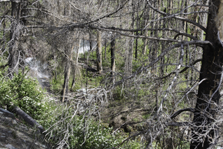 Filename=DSC_9431.jpg
Filesize=26732KiB
Dimensions=7360x4912
Date added=Sep 21, 2019 DSC_9431.jpg