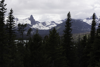 Filename=DSC_9433.jpg
Filesize=11943KiB
Dimensions=7360x4912
Date added=Sep 21, 2019 DSC_9433.jpg